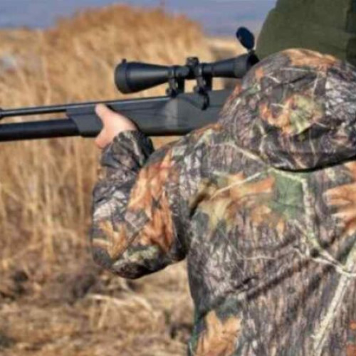 Braconaj pe fond de vânătoare: un bărbat condamnat cu suspendare