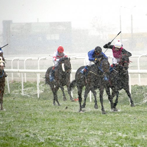 Prima reuniune hipică de la hipodromul Ploiești pentru sezonul 2025