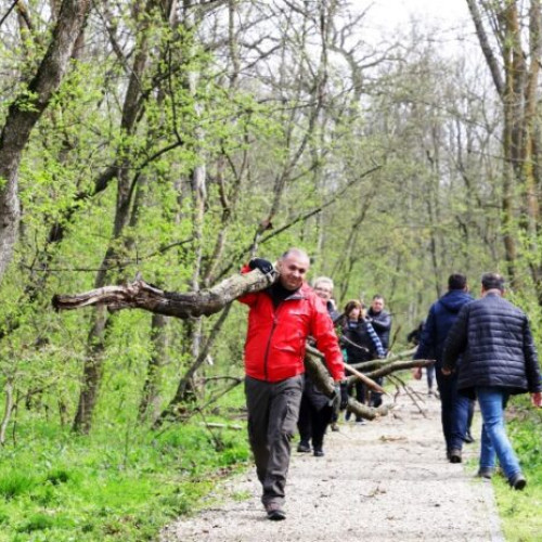 Implicarea Consiliului Județean Vrancea pentru un mediu mai curat