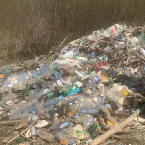 Aproape 1,25 tone de PET-uri au fost colectate din raul Cerna