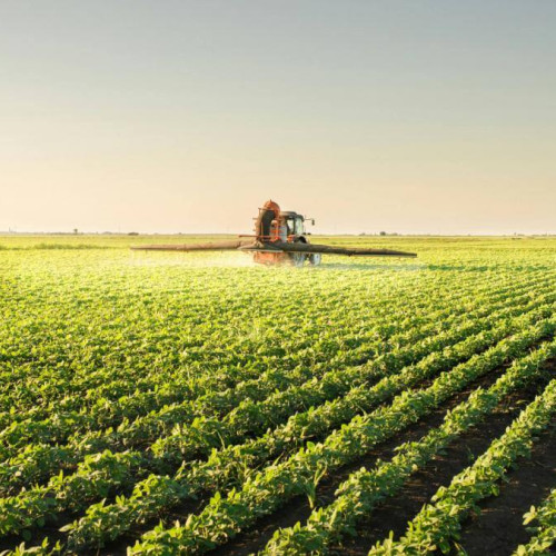 BSOG Energy colaborează cu Unigrains Trading pentru o unitate de biometan în România