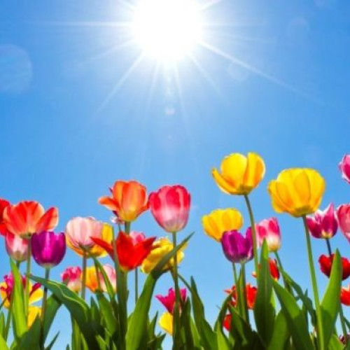 Vremea va fi schimbătoare în România până în luna mai