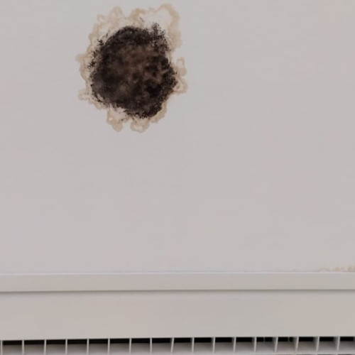 Noi acuzatii la Maternitatea "Cuza Voda" din Iasi