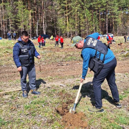 Romania celebreaza "Luna Padurii" cu actiuni de impadurire