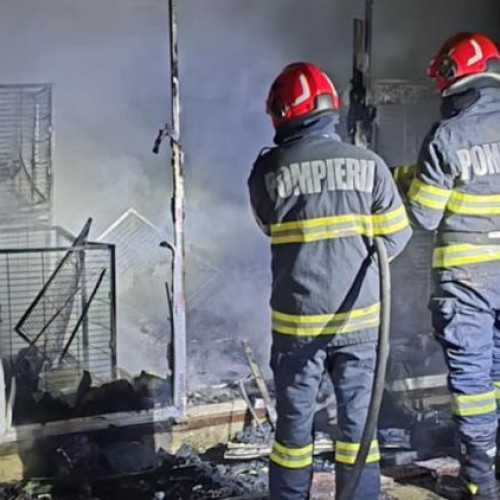 Incendiu devastator la un adăpost de câini din Vișoara