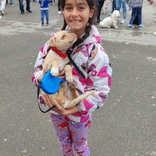 Proiectul "Săptămâna Verde" la Școala Gimnazială "Diaconu Coresi" din Fieni