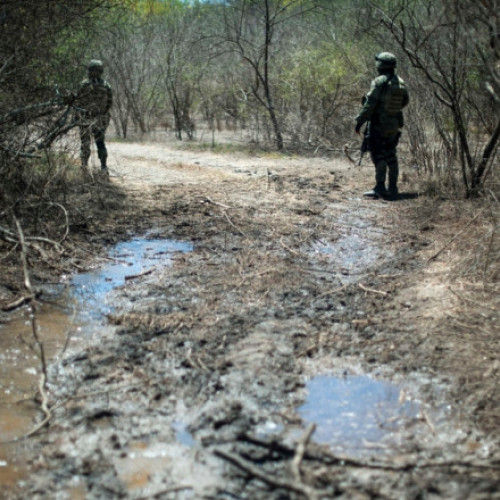 Statele Unite iau în considerare atacuri cu drone împotriva cartelurilor din Mexic