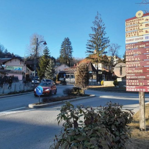 N. Dumitrescu a fost desemnat noul director al companiei