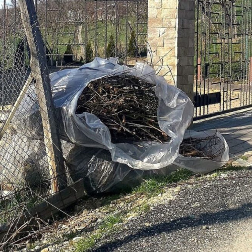 Colectarea Deșeurilor Vegetale în Aprilie 2025