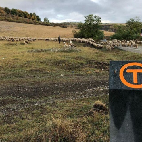 Castigatorii Galei Anului 2025