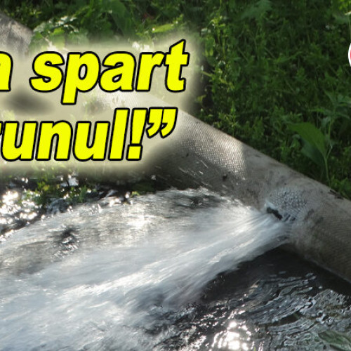 Furtun spart în Parcul Crâng, buzoienii cer intervenția autorităților