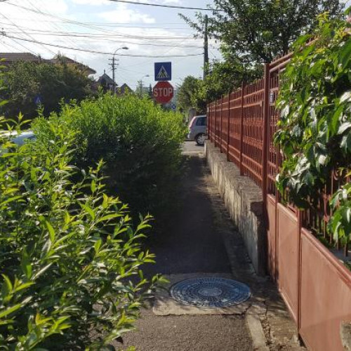 Clujenii din Gheorgheni solicită toaletarea urgentă a gardului viu