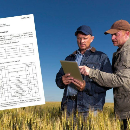 Primarul comunei Nucet, Luisa Barboiu, face apel la fermieri