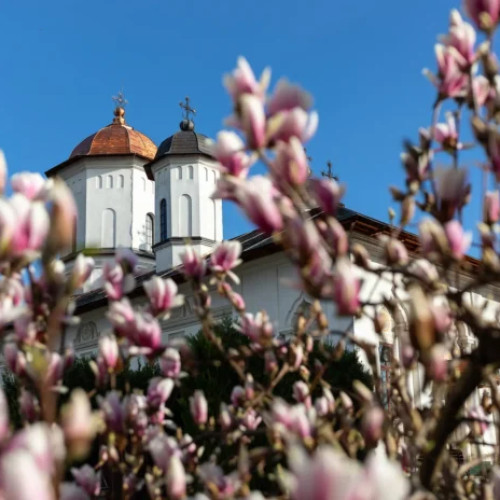 Hramul Mănăstirii Cernica va fi sărbătorit vineri