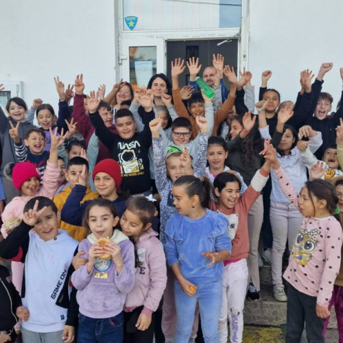 Activități ecologice pentru elevi în Dâmbovița