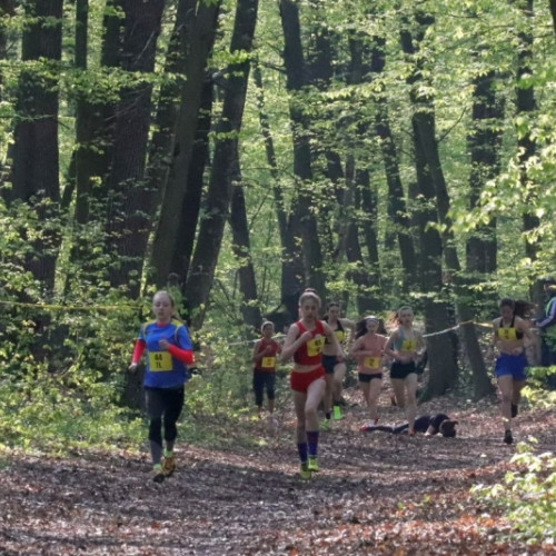 Etapa națională a Campionatului Național de Cros, organizată la Botoșani