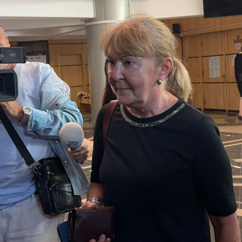 Judecătoria Mangalia amână cazul Monicai Macovei pentru 2025