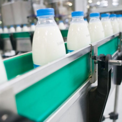 Gigantul lactatelor din Europa: fuziune între Arla și DMK