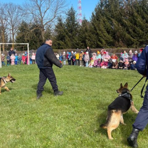 Ziua Porților Deschise a jandarmilor brașoveni