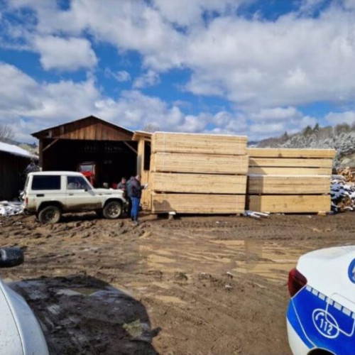 Acțiune a poliției în Vrancea pentru protecția fondului forestier