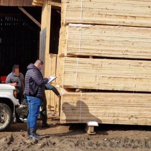 Acțiune a poliției și specialiștilor silvici în Vrancea