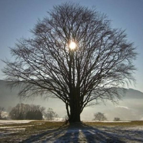 Vreme rece și ninsori în mai multe regiuni ale țării