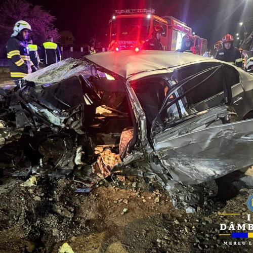 Accident rutier pe DN 72A, la Priseaca