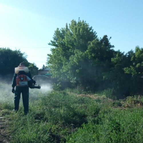 Activități de dezinsecție în Arad între 14-17 aprilie 2025