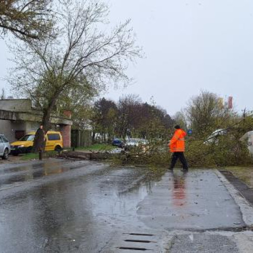 Vremea severă provoacă haos în trafic