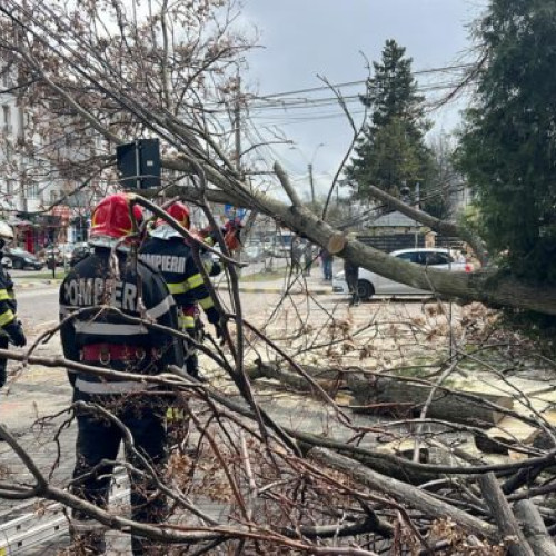 Pompierii din Botoșani intervin după căderea unui copac pe cabluri electrice