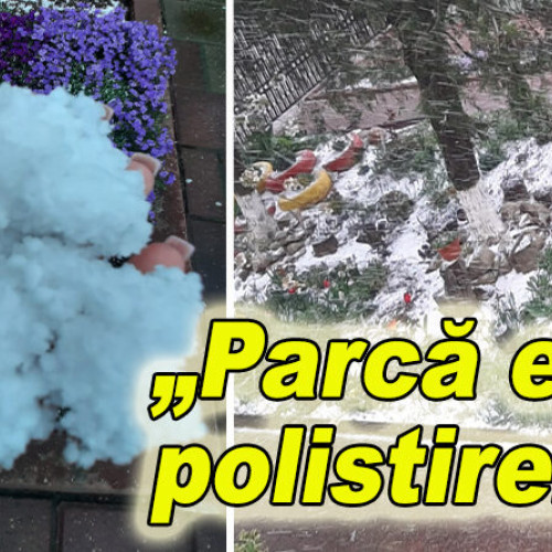 O buzoiană surprinde viscolul din comuna sa