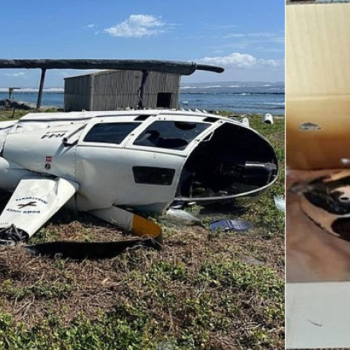 Un pinguin într-o cutie de carton a dus la prăbușirea unui elicopter în Africa de Sud