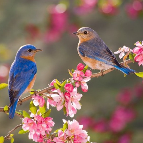 Vremea se încălzește