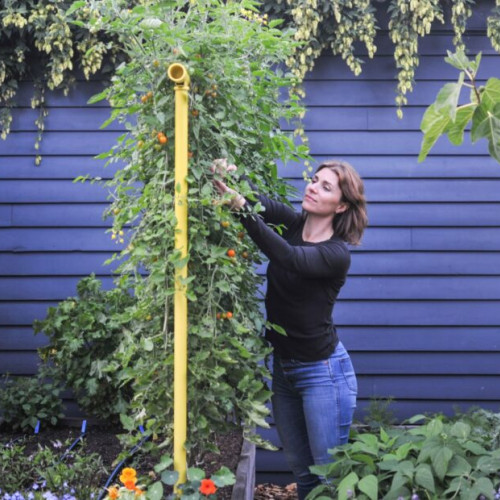 Universitatea de Științele Vieții din Iași găzduiește Garden Fest
