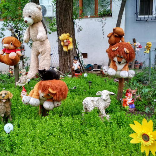 O grădiniță de bloc aduce zâmbete în Micro 19