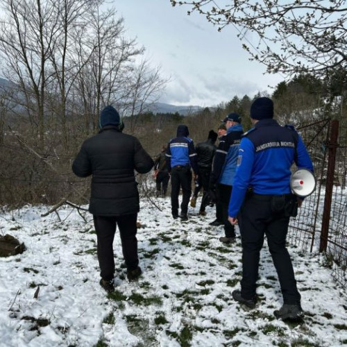 Intervenție a jandarmilor montani în comuna Soveja pentru alungarea unui pui de urs