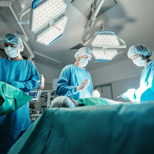 Rinichi de porc extras din corpul unei paciente din SUA după un transplant record