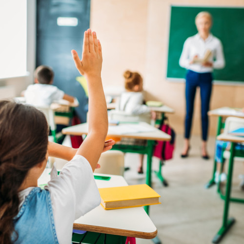 Șapte noi discipline opționale în oferta școlară