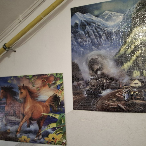 Locatarii din Botoșani își transformă scara de bloc într-o operă de artă