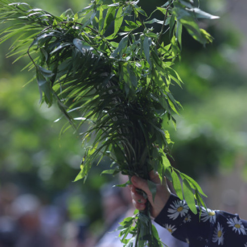 Pelerinajul de Florii se desfășoară sâmbătă în București