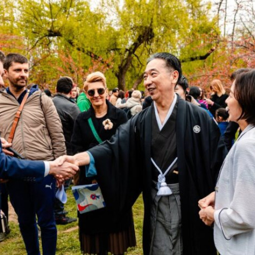 Sărbătoarea florilor de cireș - Hanami, la Grădina Japoneză din Parcul Regele Mihai I