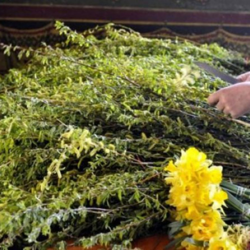 Duminica Floriilor: O Sărbătoare Plină de Tradiții Creștine