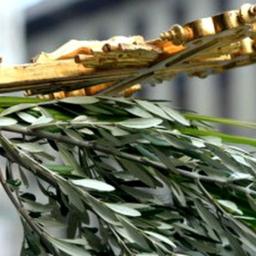 Floriile, o sărbătoare importantă în România