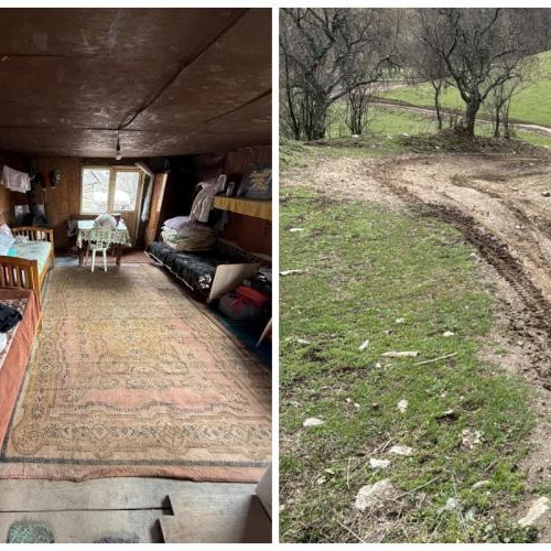 Trei copii din Moara de Padure demonstrează că mediul nu hotărăște destinul