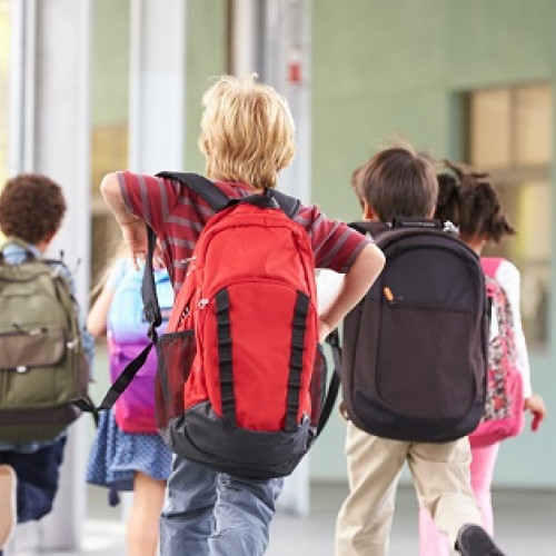 Noi discipline opționale pentru elevi începând cu anul școlar 2025-2026