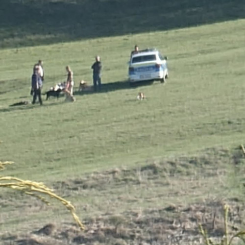 Femeie atacată de câini pe Dealul Cetății, dusă de urgență la spital