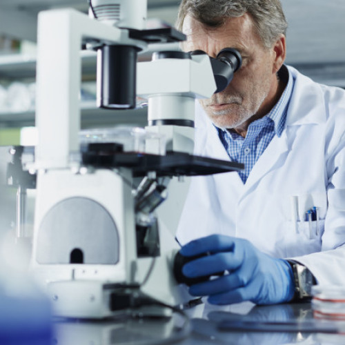 Exodul cercetătorilor din SUA către Europa, provocat de reducerile de personal