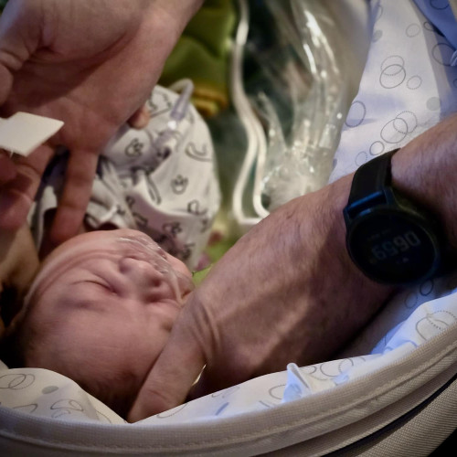 Tragedie în familia lui Dominic din Botoșani