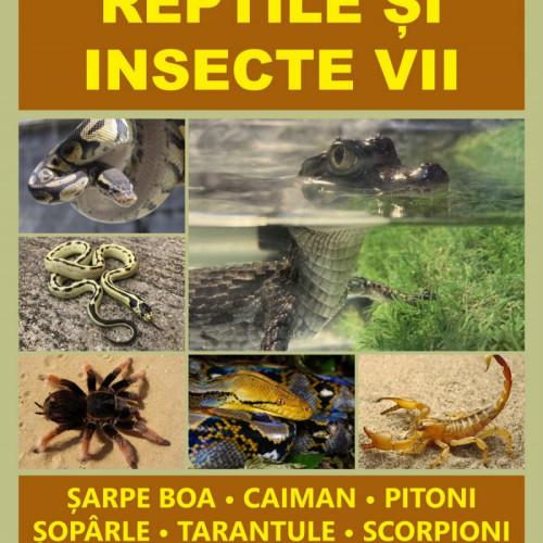 Expozitia de reptile și insecte vii, la Complexul Muzeal Arad