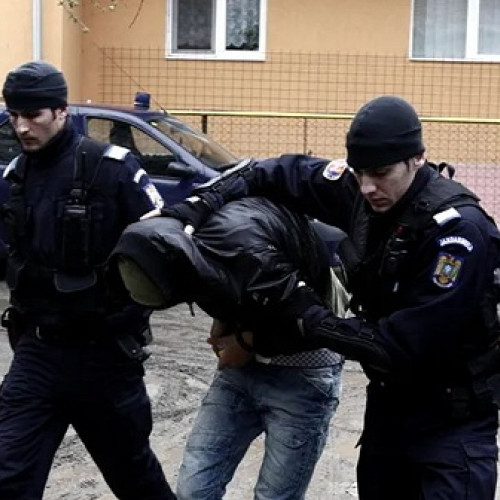 Trei persoane reținute de jandarmi pentru trafic de droguri în Satu Mare